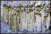 Basalt columns. Yellowstone National Park, Wyoming, USA. (color)