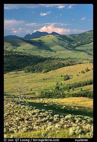 Hills from Specimen ridge, late afternoon. Yellowstone National Park (color)