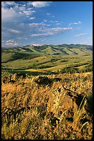 Rocks, grasses, and hills, Specimen ridge, late afternoon. Yellowstone National Park ( color)