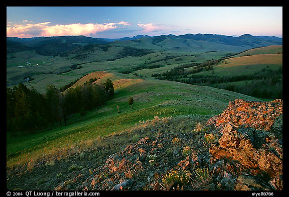 Rocks and flowers on Specimen ridge, sunset. Yellowstone National Park (color)