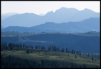 Backlit ridges of Absaroka Range from Dunraven Pass, early morning. Yellowstone National Park ( color)
