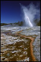 Daisy Geyser erupting at an angle. Yellowstone National Park ( color)