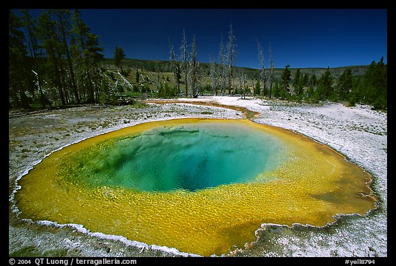 Morning Glory Pool, midday. Yellowstone National Park, Wyoming, USA.