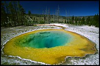 Morning Glory Pool, midday. Yellowstone National Park ( color)