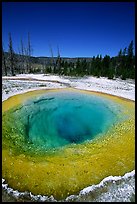 Bright colors of morning Glory Pool. Yellowstone National Park ( color)
