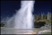 Grand Geyser eruption, afternoon. Yellowstone National Park ( color)