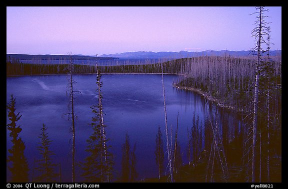 West Thumb at dusk. Yellowstone National Park (color)