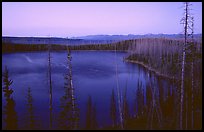 West Thumb at dusk. Yellowstone National Park, Wyoming, USA. (color)