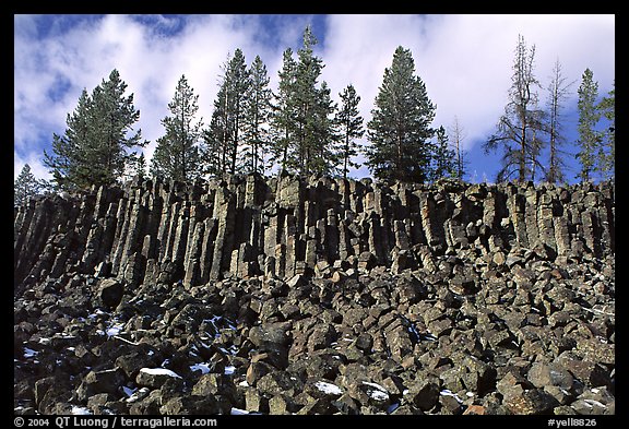 Basalt columns. Yellowstone National Park, Wyoming, USA.