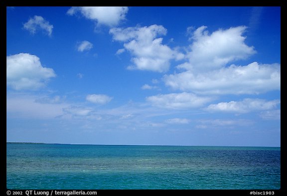 Sky and Elkhorn coral reef. Biscayne National Park, Florida, USA.