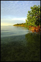 Elliott Key shore on Biscayne Bay, sunset. Biscayne National Park, Florida, USA. (color)