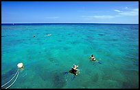 Snorklers. Biscayne National Park ( color)