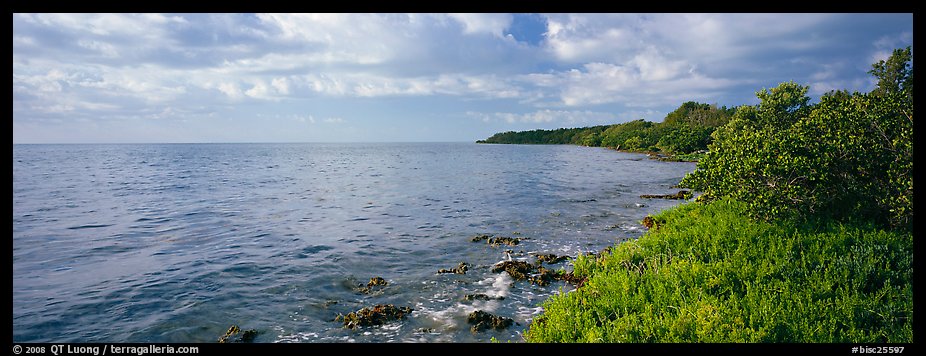 Island Altantic shoreline. Biscayne National Park, Florida, USA.