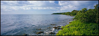 Island Altantic shoreline. Biscayne National Park (Panoramic color)