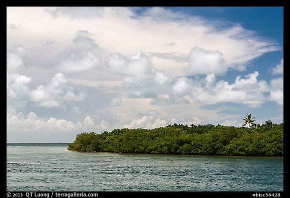 Adams Key, Biscayne Bay, and summer clouds. Biscayne National Park, Florida, USA.