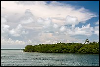 Adams Key, Biscayne Bay, and summer clouds. Biscayne National Park, Florida, USA. (color)