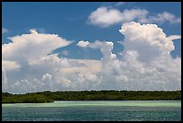Barrier island, shallow waters, and afternoon clouds. Biscayne National Park, Florida, USA. (color)