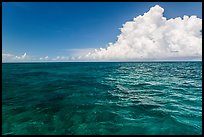 Reef and clouds. Biscayne National Park, Florida, USA. (color)