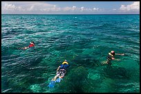 Snorklers and reef. Biscayne National Park, Florida, USA. (color)