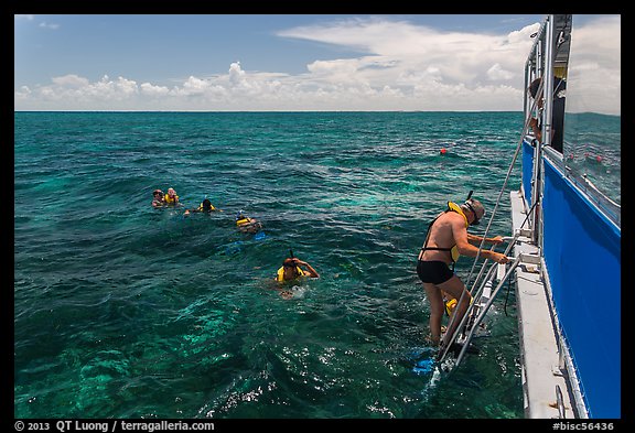 Snorkeling boat, snorklers and reef. Biscayne National Park, Florida, USA.