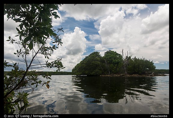 Mangrove islet, Biscayne Bay. Biscayne National Park (color)