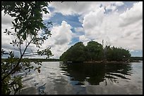 Mangrove islet, Biscayne Bay. Biscayne National Park ( color)