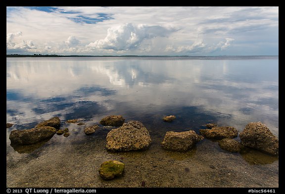Rocks and Biscayne Bay reflections. Biscayne National Park (color)