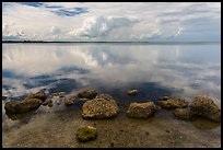 Rocks and Biscayne Bay reflections. Biscayne National Park, Florida, USA. (color)