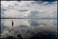 Park visitor looking, standing in glassy Biscayne Bay. Biscayne National Park, Florida, USA. (color)