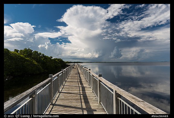 Boardwalk and mangroves, Convoy Point. Biscayne National Park (color)