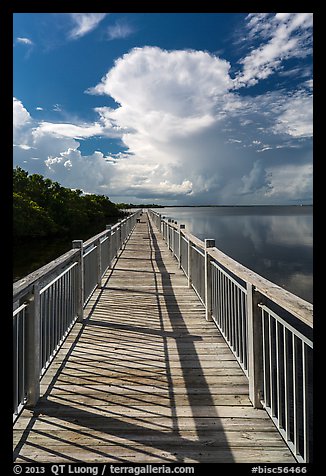 Boardwalk and Biscayne Bay, Convoy Point. Biscayne National Park (color)