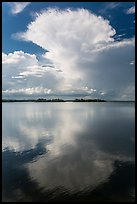 Cumulonimbus clouds, and mangrove-covered islets, Biscayne Bay. Biscayne National Park ( color)