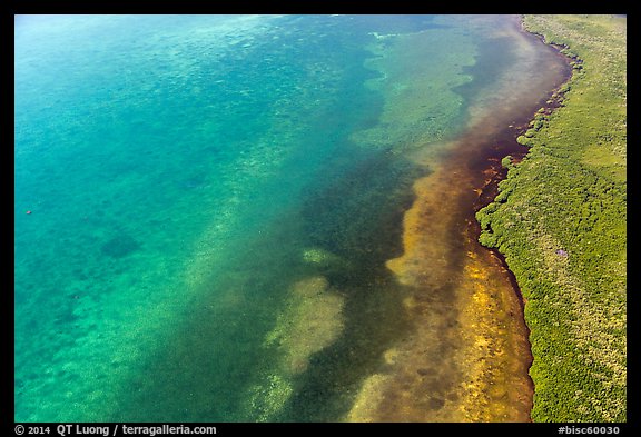 Aerial view of reef, shoal, coastline, and forest. Biscayne National Park, Florida, USA.