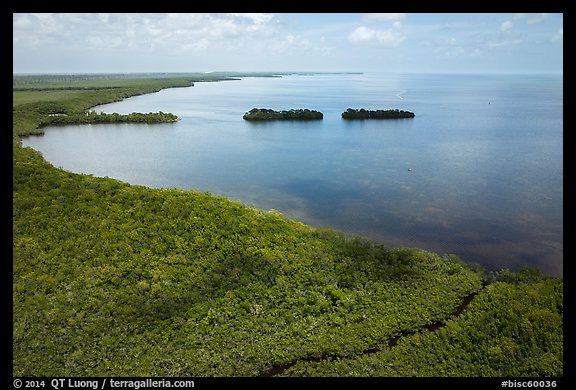 Aerial view of mangrove coast in islets. Biscayne National Park, Florida, USA.