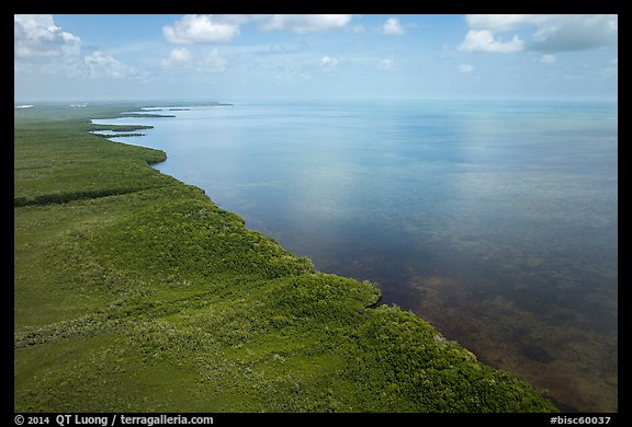 Aerial view of mainland mangrove coast. Biscayne National Park, Florida, USA.