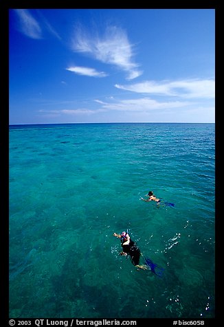 Snorkelers over a coral reef. Biscayne National Park (color)