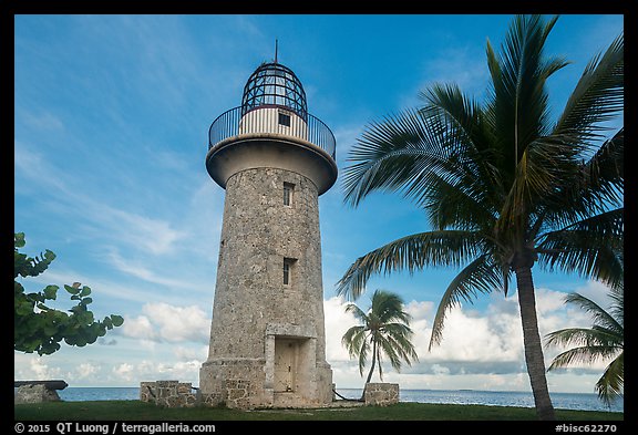 Palm tree and lighthouse, Boca Chita Key. Biscayne National Park, Florida, USA.