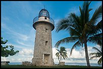 Palm tree and lighthouse, Boca Chita Key. Biscayne National Park ( color)