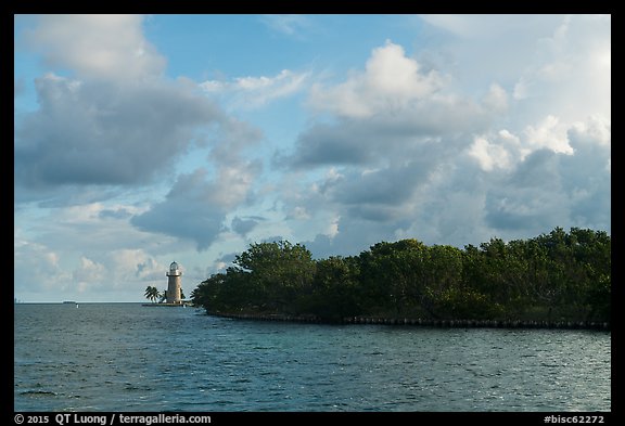 Vegetation and lighthouse, Boca Chita Key. Biscayne National Park, Florida, USA.