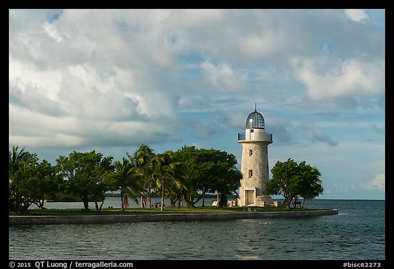 Trees and lighthouse, Boca Chita Key. Biscayne National Park, Florida, USA.