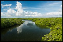 Narrow channel lined with mangroves. Biscayne National Park ( color)