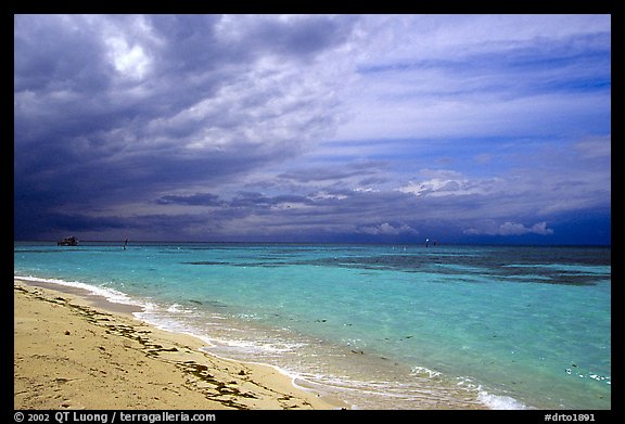 Beach and turquoise waters, Garden Key. Dry Tortugas National Park (color)