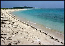 Beach on Bush Key with beached seaweed. Dry Tortugas National Park, Florida, USA.
