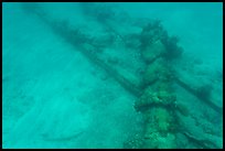 Part of Windjammer wreck on ocean floor. Dry Tortugas National Park ( color)