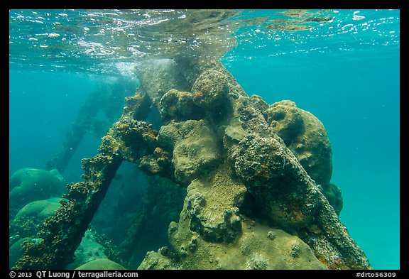 Coral-covered part of Windjammer wreck breaking surface. Dry Tortugas National Park (color)