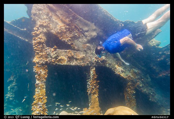 Free diver exploring Windjammer Wreck. Dry Tortugas National Park (color)