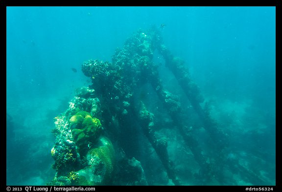 Sunken wreck of Avanti. Dry Tortugas National Park (color)