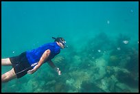 Free diver swimming amidst fish and coral. Dry Tortugas National Park ( color)