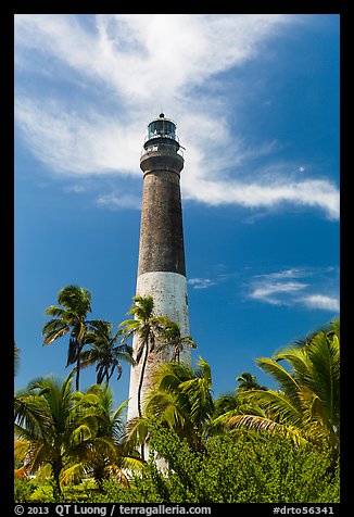 Palm trees and Dry Tortugas Light Station, Loggerhead Key. Dry Tortugas National Park (color)