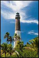 Palm trees and Dry Tortugas Light Station, Loggerhead Key. Dry Tortugas National Park ( color)